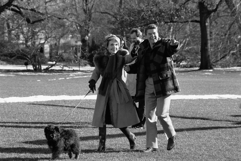 Czworonożni mieszkańcy Białego Domu: Lucky (pies Ronalda Reagana i jego żony Nancy)
