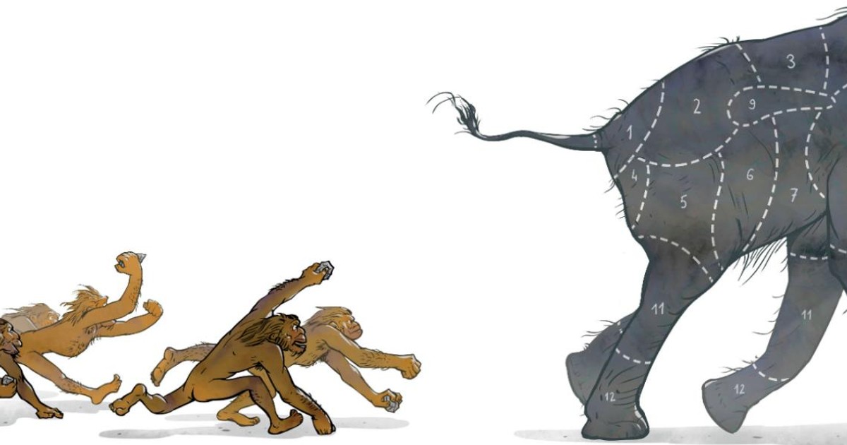 Kiedy człowiek został mięsożernym kucharzem