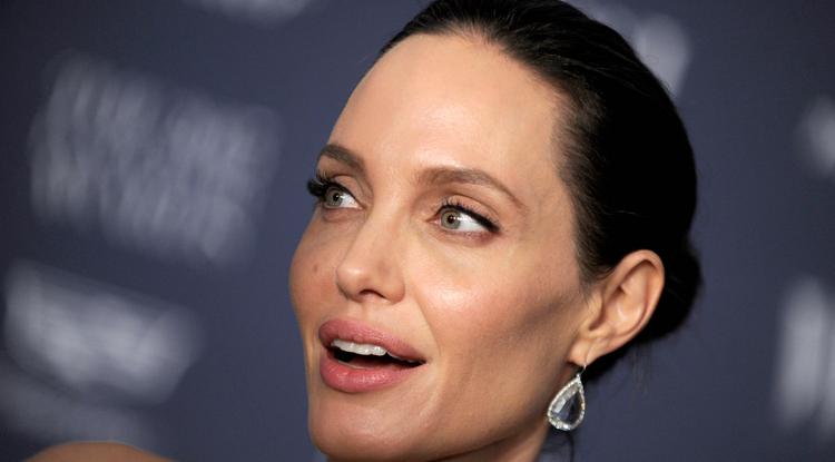 Angelina Jolie Fotó: Northfoto