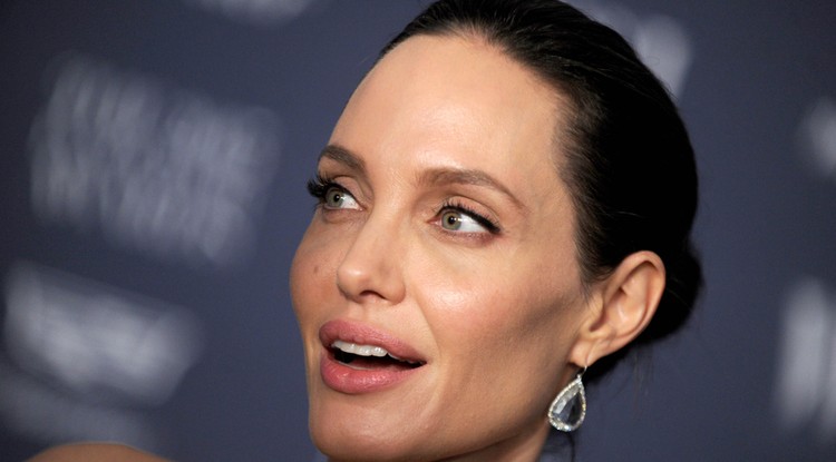 Angelina Jolie Fotó: Northfoto