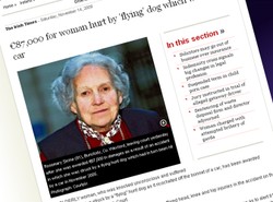 Spadł na nią pies. Dostała fortunę