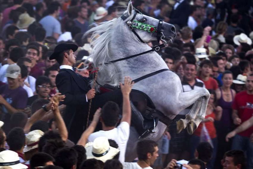 Tradycyjna parada jeździecka w Hiszpanii