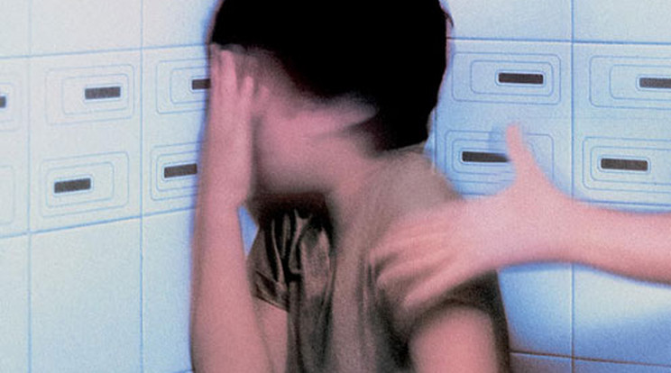 12 éves kislányt molesztált a migráns / Illusztráció: Northfoto