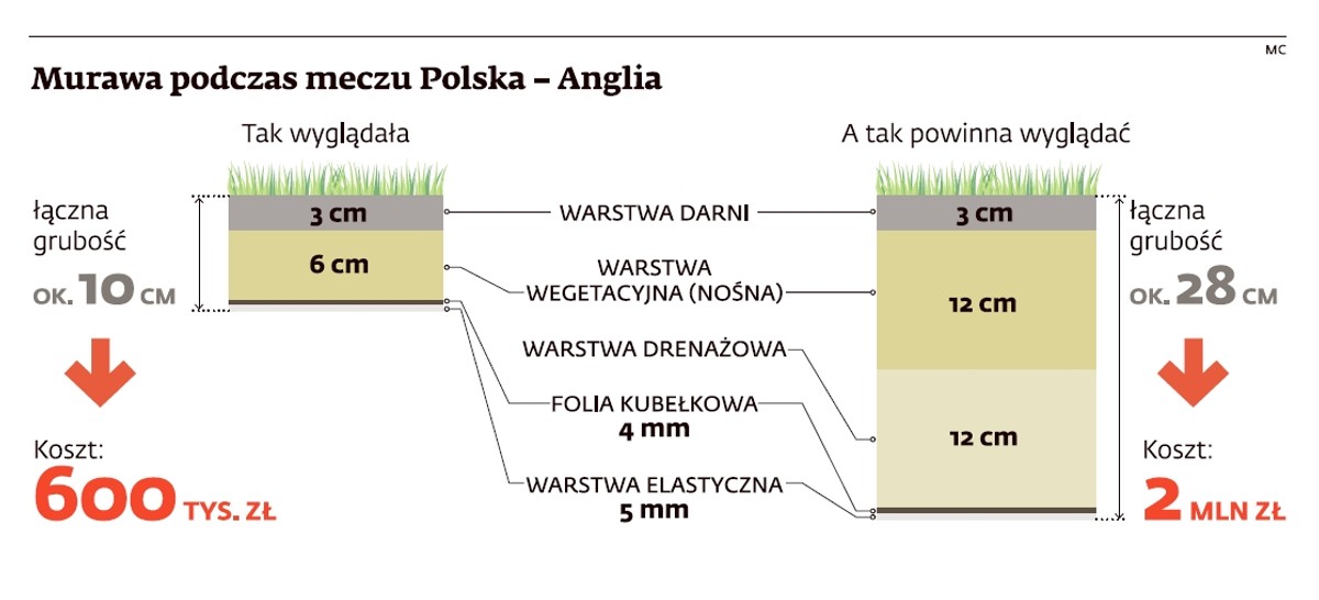 Murawa podczas meczu Polska - Anglia