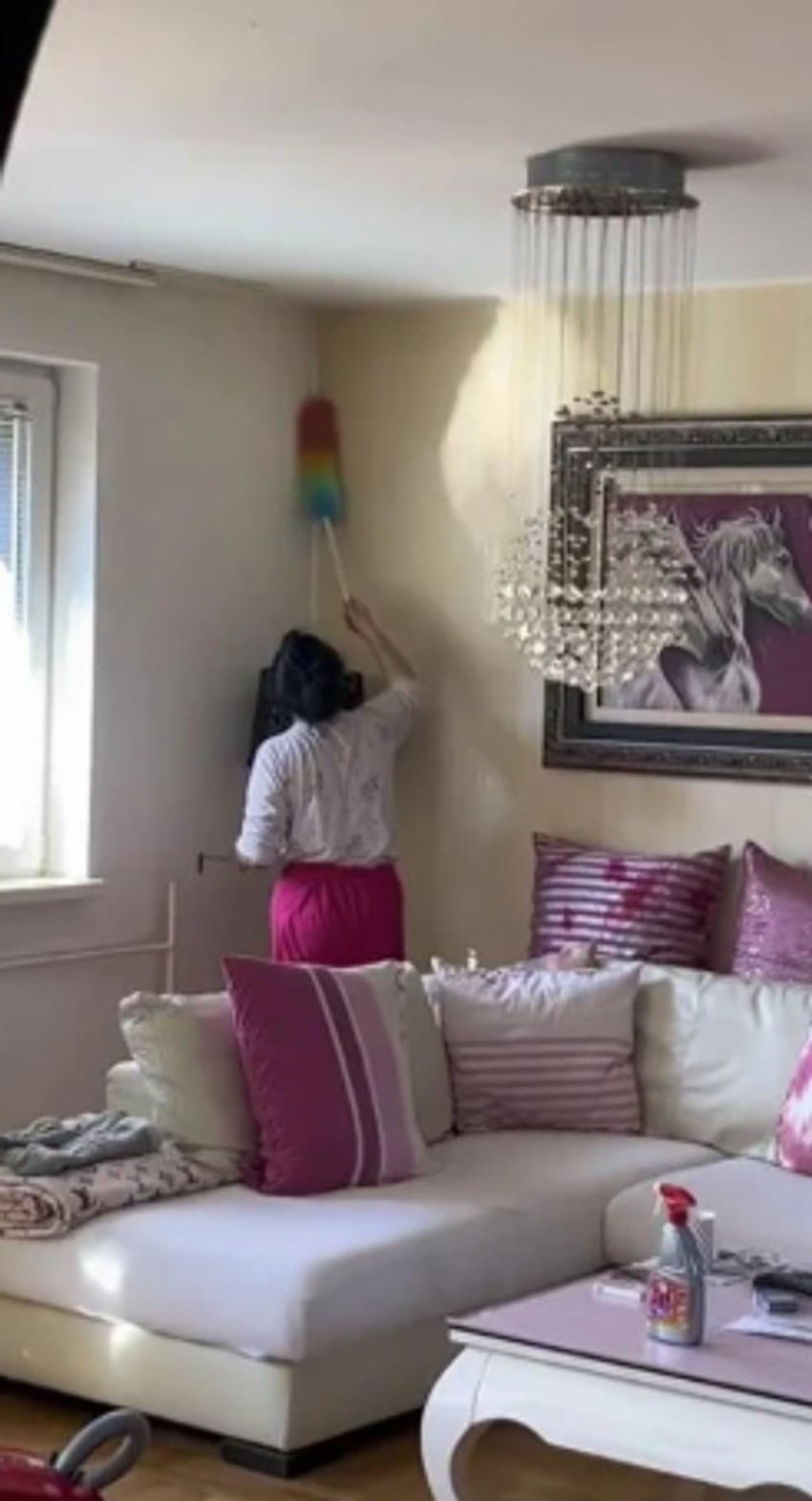 Zlata Petrović stan