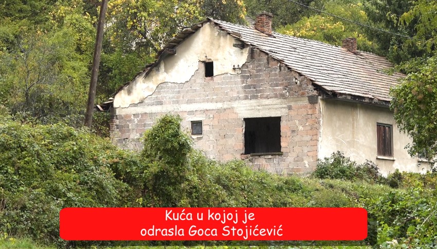 Goca Stojićević, emisija "Metar moga sela"