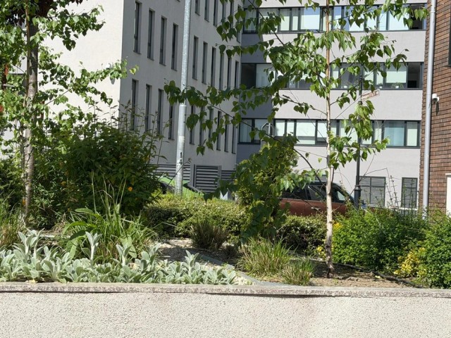 Anđela Đuričić (Foto: Ringier/Dušan Lukić)