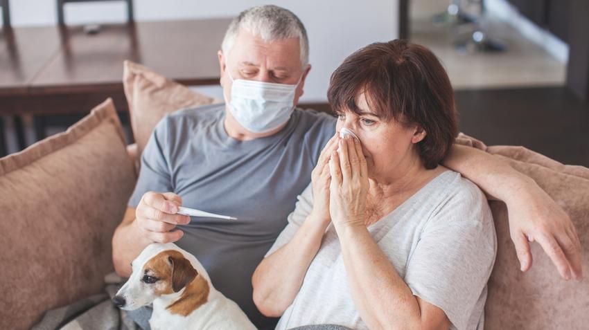 influenza, vírus, járvány, oltás, védőoltás