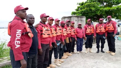 NDLEA destroyed 4 Cannabis farmlands in Bauchi – Commander (Credit: GuardianNG)