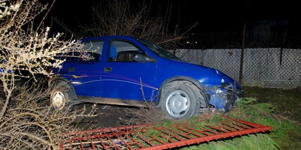 Opel staranował ogrodzenie! FOTO