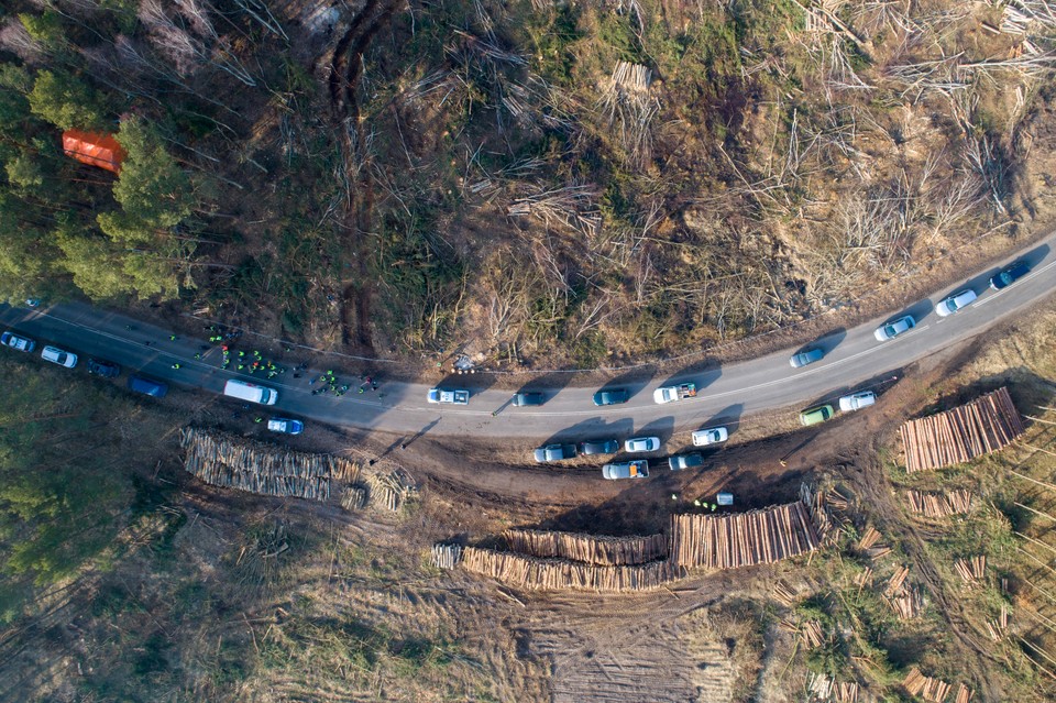 Wycinka drzew na Mierzei Wiślanej w Skowronkach, 18.02.2018 r.