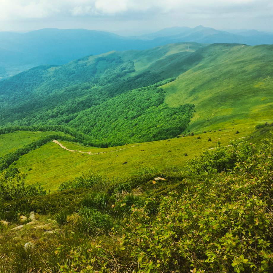 Bieszczady to jeden z najbardziej dzikich i tajemniczych zakątków Polski