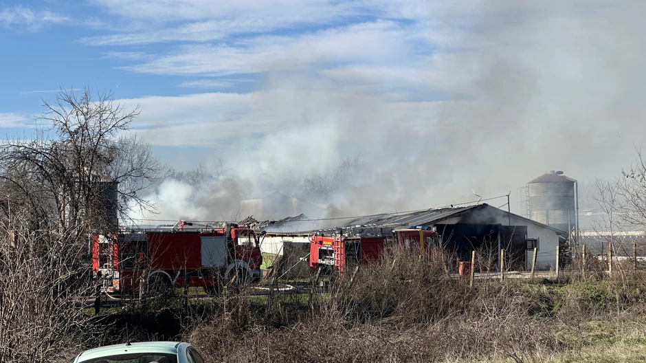 Požar na farmi pilića u Čačku