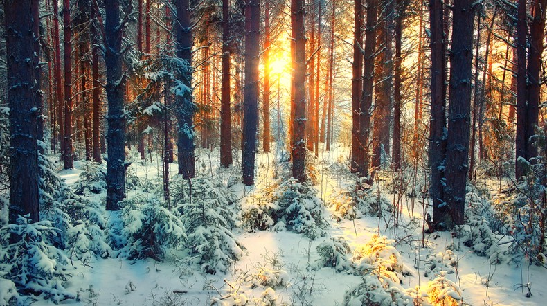 Opady deszczu ze śniegiem. Pogoda na wtorek 1 grudnia