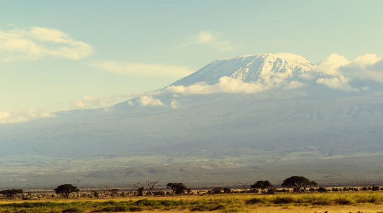 A Kilimandzsáró Afrika legmagasabb hegye /Fotó: Northfoto