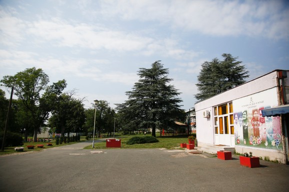 Ustanova za decu i mlade Sremčica