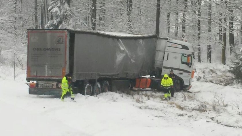 Tir wjechał do lasu