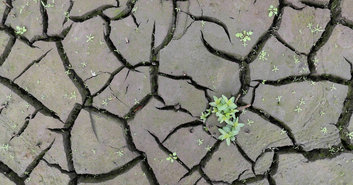 „Globalne bankructwo”. Kryzys? Żyjemy już w erze… po kryzysie