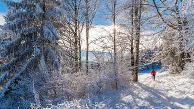 Beskid Sądecki: czterech turystów utknęło na szlaku