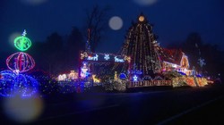 Choinki, renifery i nieskończona liczba lampek. Tego domu nie da się nie zauważyć