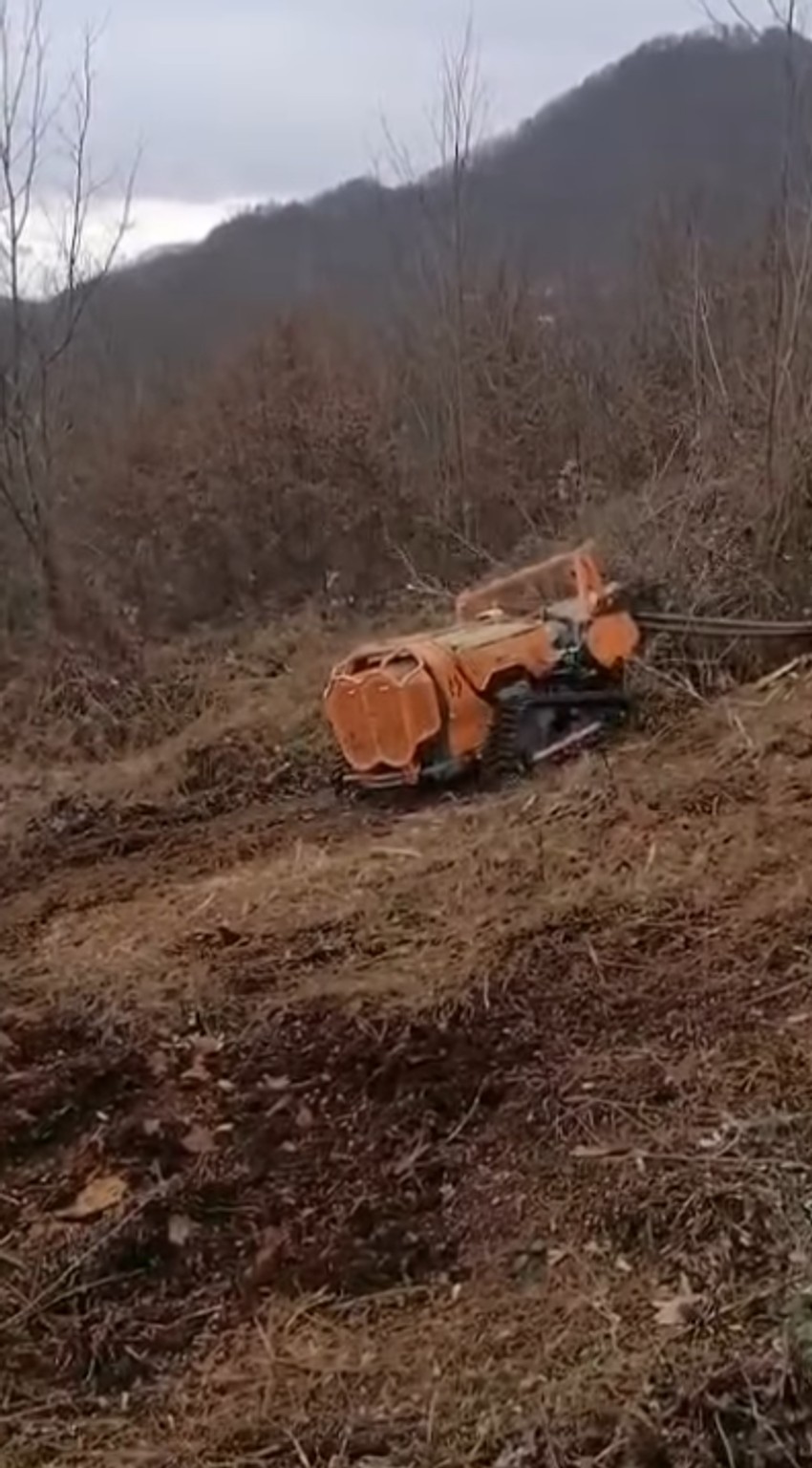 Marija je snimila kako se raskrčuje zemšljište, kao i nisko rastinje