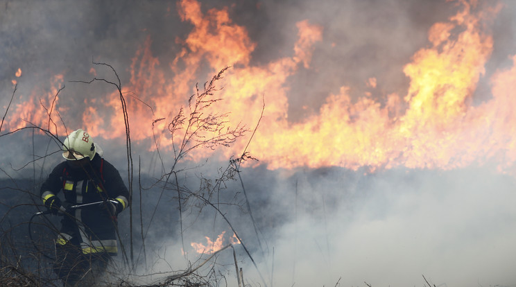 A tűzoltók munkáját az erős szél nehezíti (képünk illusztráció) / Fotó: Fuszek Gábor