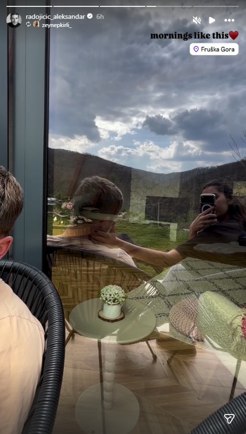 Aleksandar Radojičić, objava