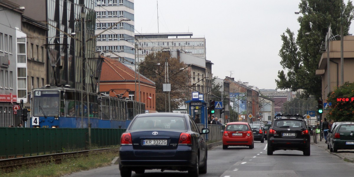 Ekolodzy blokują remont 