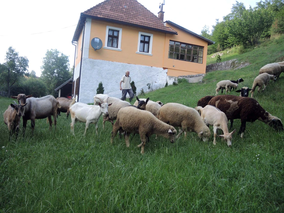 Virić sa svojom "bandom"