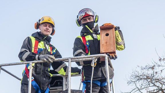 Łódź zaprasza ptaki. W całym mieście powieszą 600 budek lęgowych