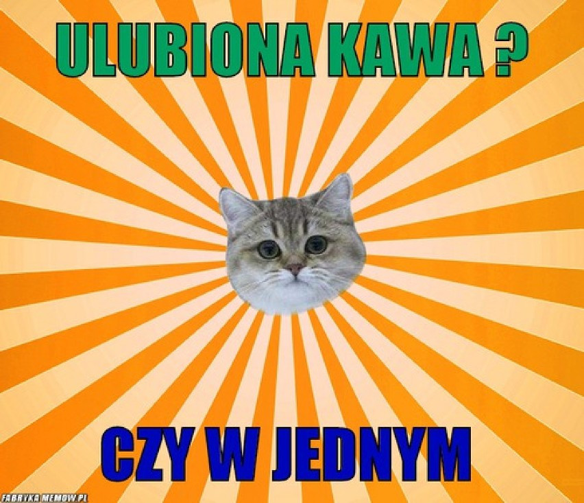 Memy o kawie