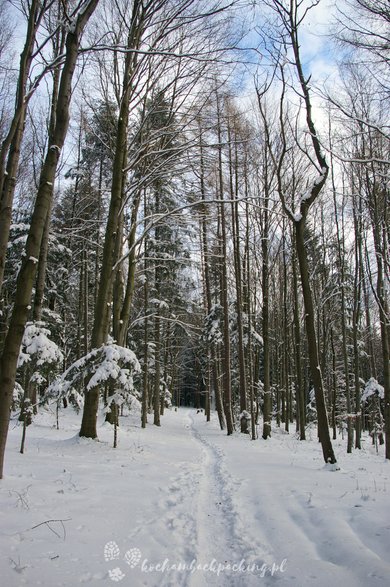 Szlak na Lubomir.