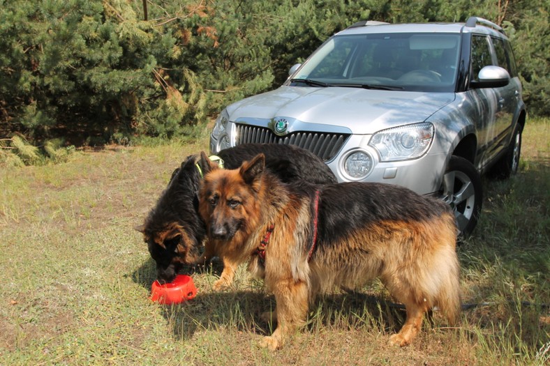 Skoda Yeti 1.4 TSI