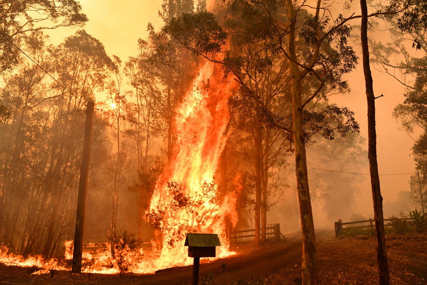 Bushfires continue to burn in New South Wales, Australia