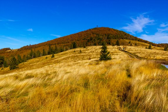 Mogielica, Beskid Wyspowy