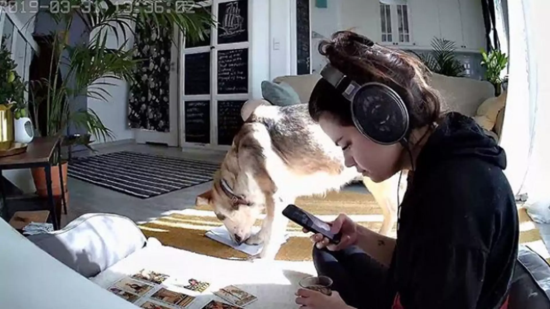Youtuberka adoptowała starego i chorego psa. Jak wygląda ich życie?