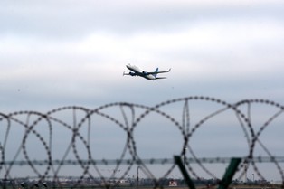 Samolot z Aleksiejem Nawalnym wylądował w Moskwie. Opozycjonista został zatrzymany