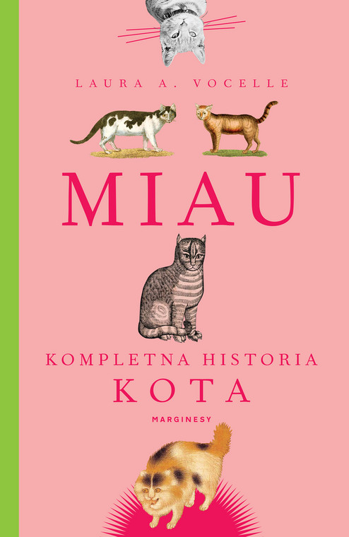 Laura Vocelle — "Miau. Kompletna historia kota" (okładka)