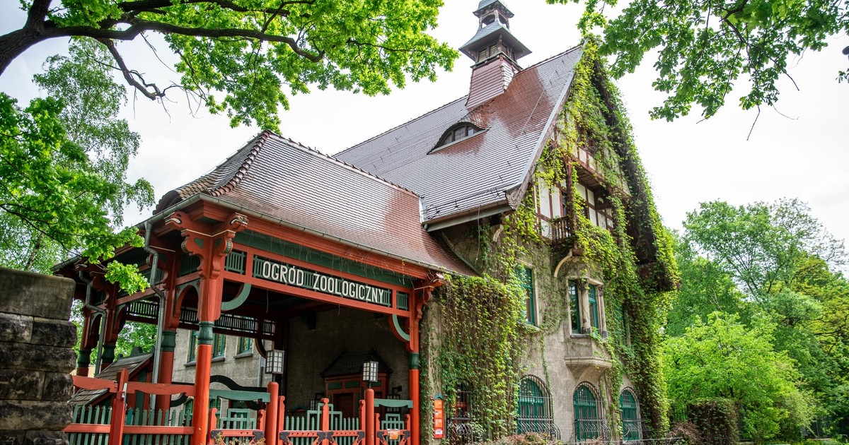 Tak łatwiej wejdziesz do zoo