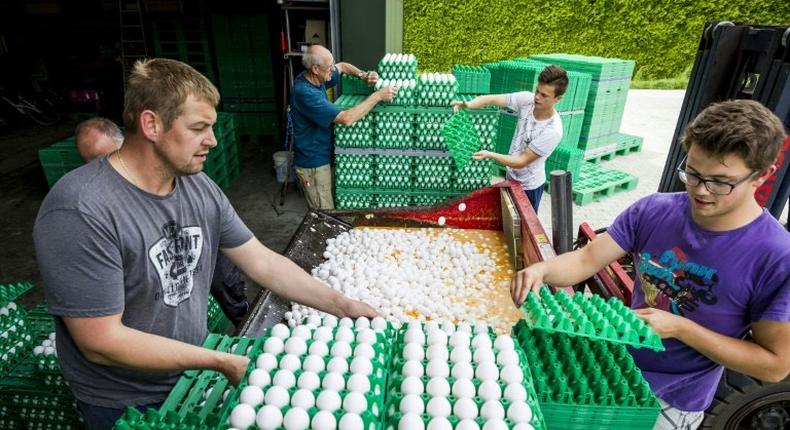 Some 10 billion eggs were produced in the country last year by about 1,000 poultry farms, with many of them going across the border into Germany