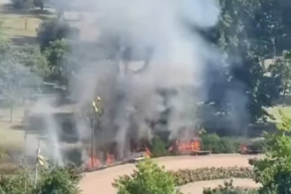 (VIDEO) POŽAR U NOVOM SADU Goreo park, gust dim se nadvio nad gradom