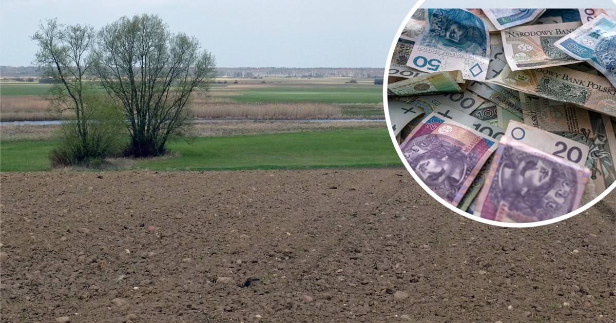 Top najdroższych i najtańszych działek rolnych w Polsce. Ceny potrafią zwalić z nóg