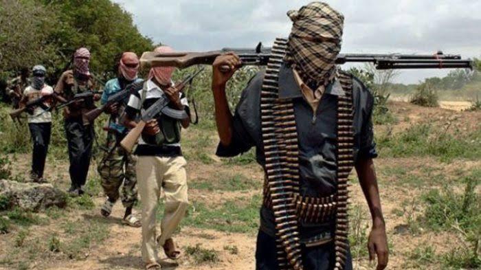 Gunmen attack 2 checkpoints; kill 2 policemen, 1 civilian in Enugu | Pulse  Nigeria