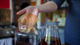 Kombucha (grzybek herbaciany) - właściwości, działanie, przeciwwskazania. Przepis na napój z kombuchy