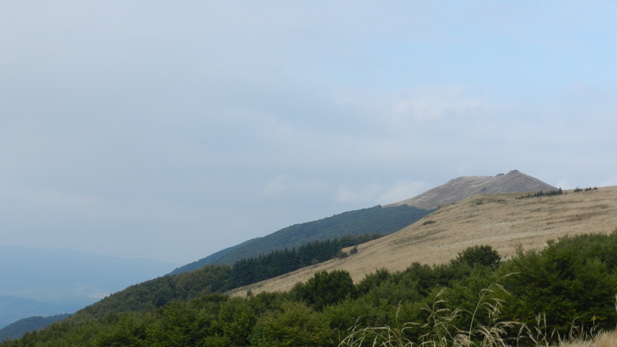 "Tworzyć z naturą - Bieszczady 2011" - pod takim tytułem zostanie we wtorek wieczór zaprezentowana w Domu Polski Wschodniej w Brukseli wystawa promująca kulturę i artystów z regionu Bieszczadów. Organizatorem wystawy jest Podkarpacka Fundacja Rozwoju Kultury.