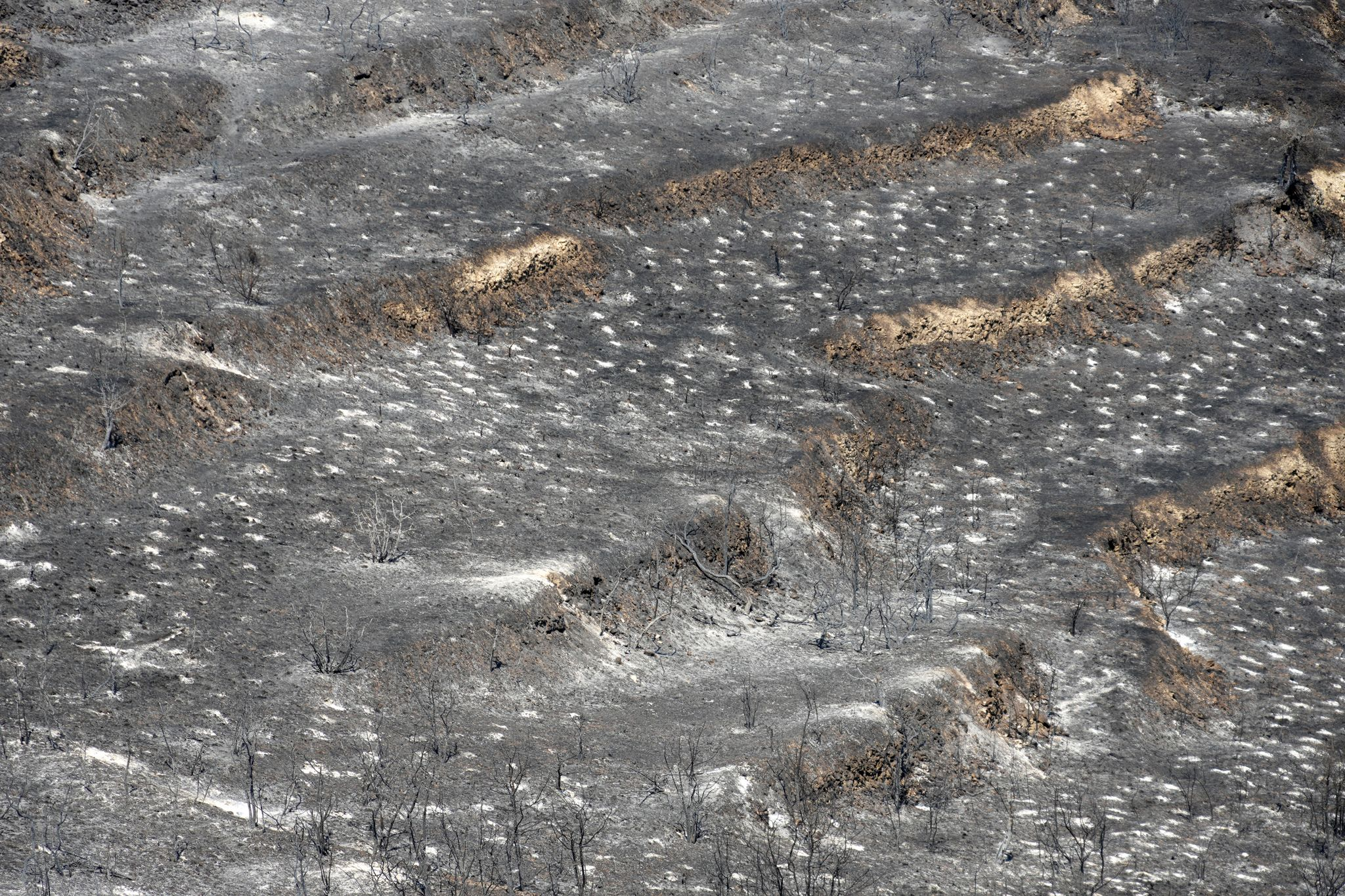 Waldbrand auf Zypern unter Kontrolle: 2 Tote, 120 km²