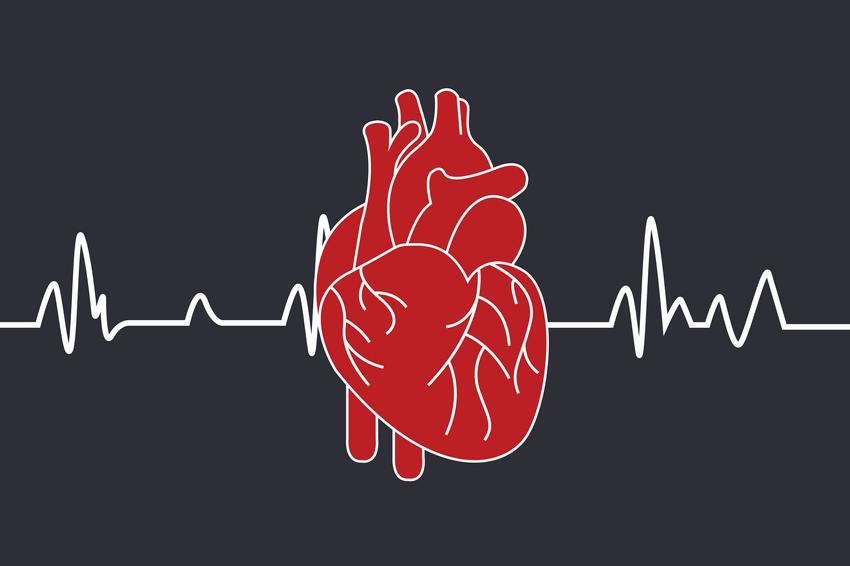 Örökölhető szívbetegségek: így ismerheti fel időben, a tünetek alapján |  EgészségKalauz