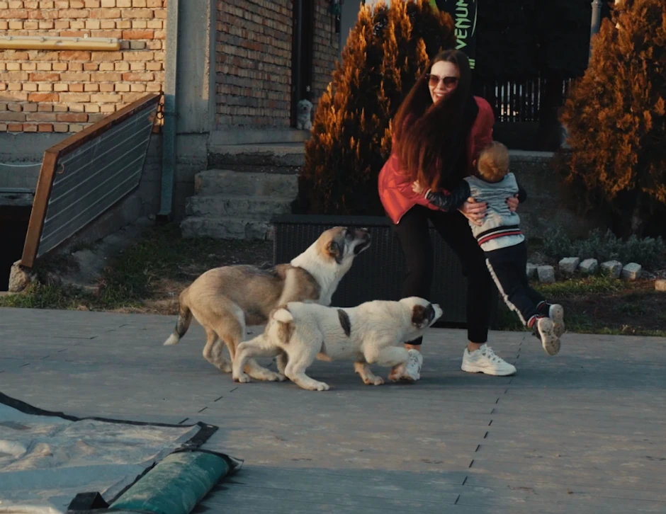 Ceca Show, život Ražnatovića u Titelu