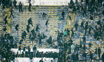 Tysiące ludzi szturmowały bramy stadionu przed meczem Afrykańskiej LM. Jedna osoba nie żyje