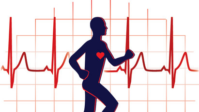 Erősítő edzéssel is csökkenthető a magas vérnyomás?